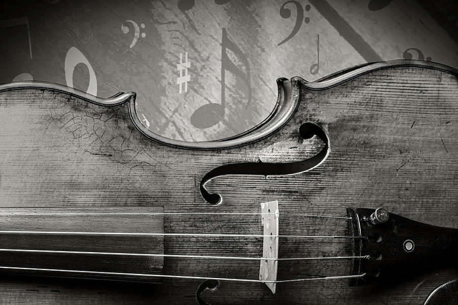  Antique Violin 1732.35 Photograph by M K Miller