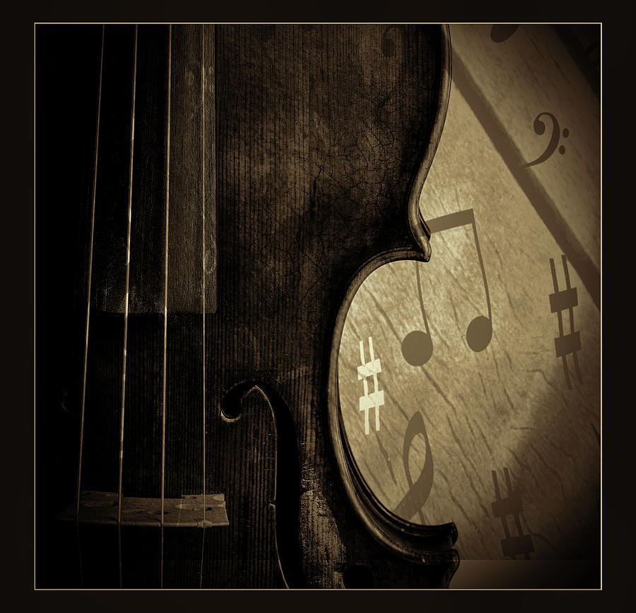  Antique Violin 1732.36 Photograph by M K Miller