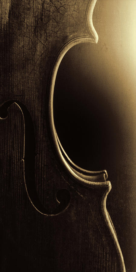  Antique Violin 1732.38 Photograph by M K Miller