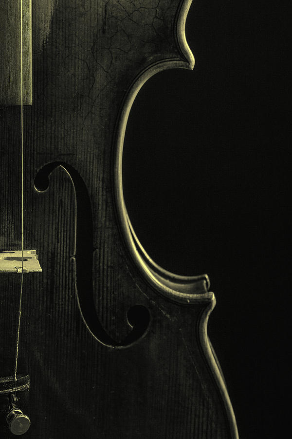  Antique Violin 1732.41 Photograph by M K Miller