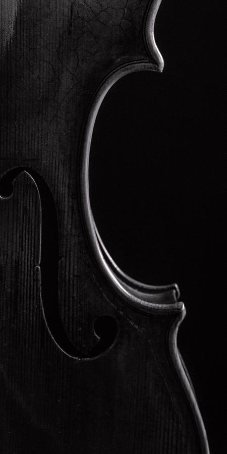  Antique Violin 1732.42 Photograph by M K Miller