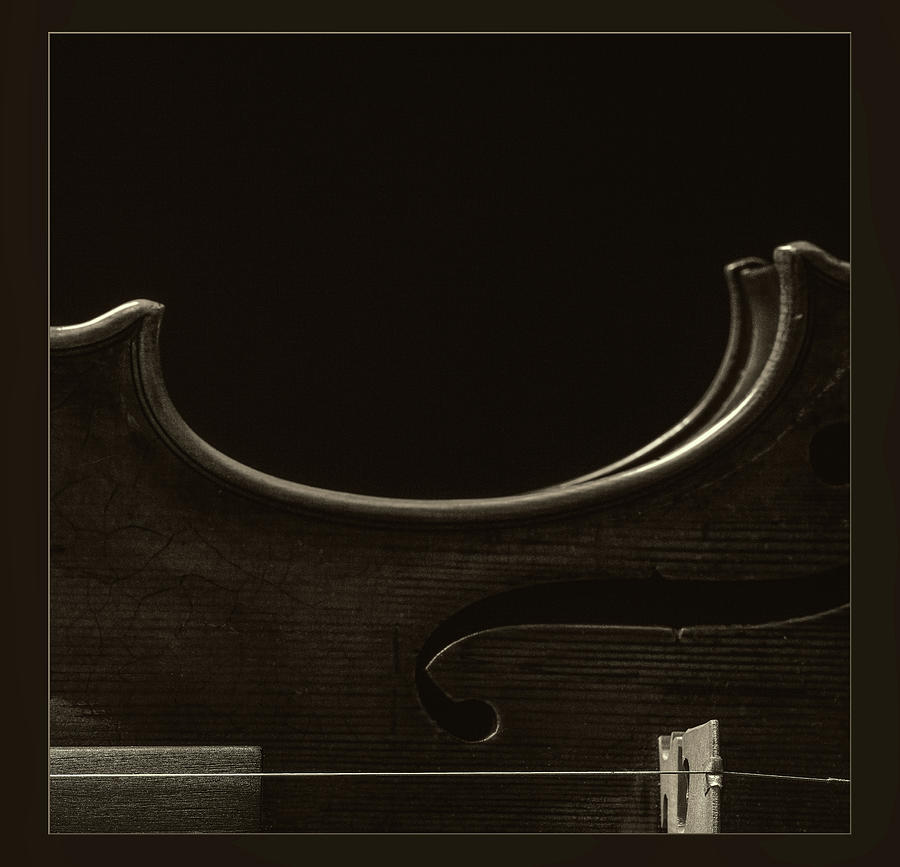  Antique Violin 1732.43 Photograph by M K Miller