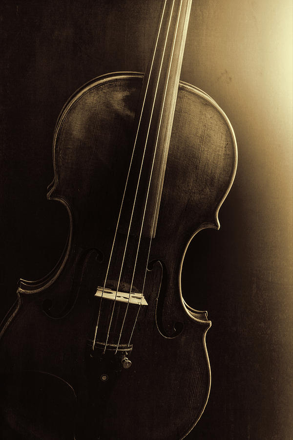  Antique Violin 1732.46 Photograph by M K Miller