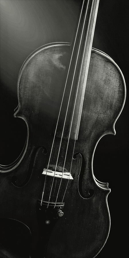  Antique Violin 1732.48 Photograph by M K Miller