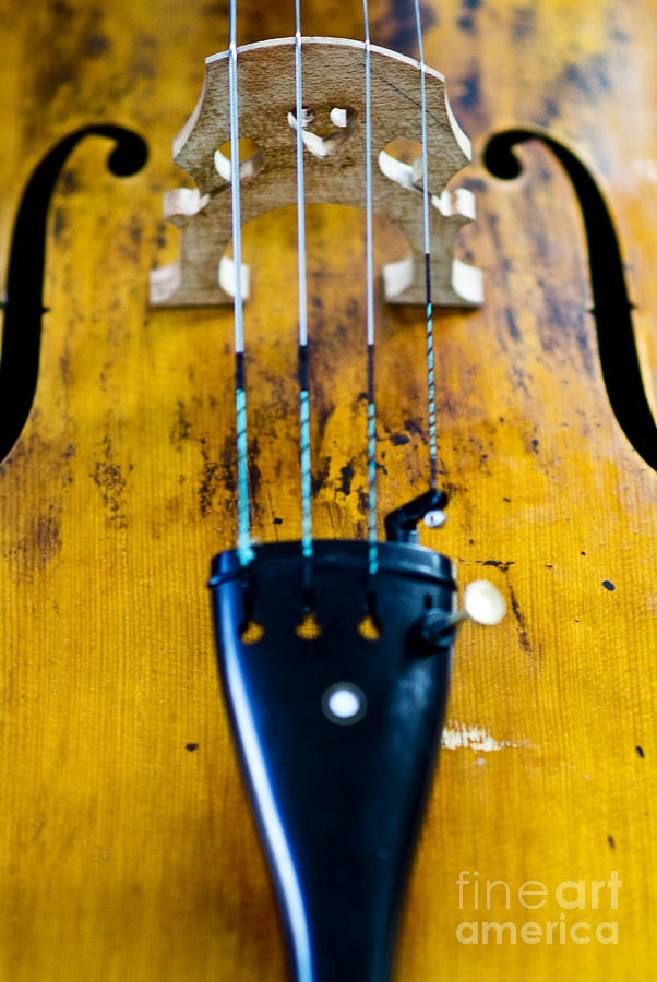 Antique Violin Photograph by Ray Laskowitz - Printscapes