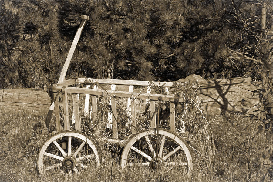 Antique Wagon Photograph by Donna Kennedy