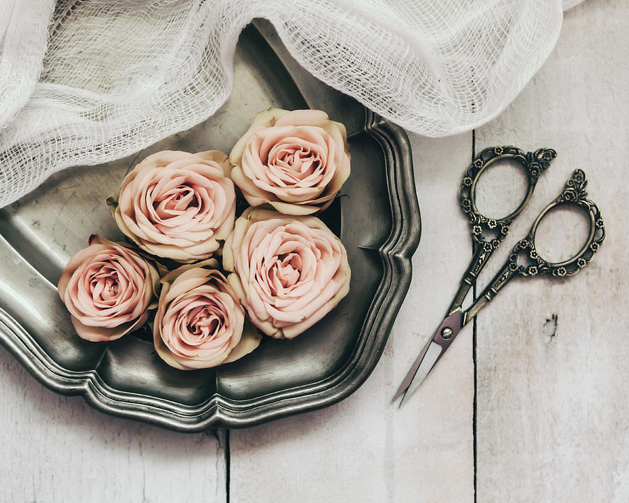 Antiqued Roses Photograph by Kim Hojnacki