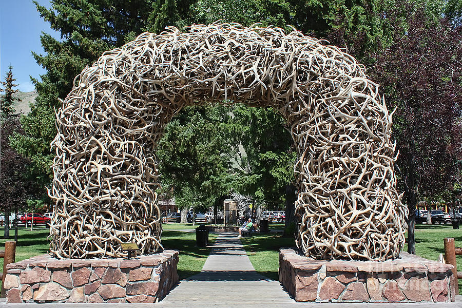 Antler Arch In Jackson Hole Photograph by Teresa Zieba