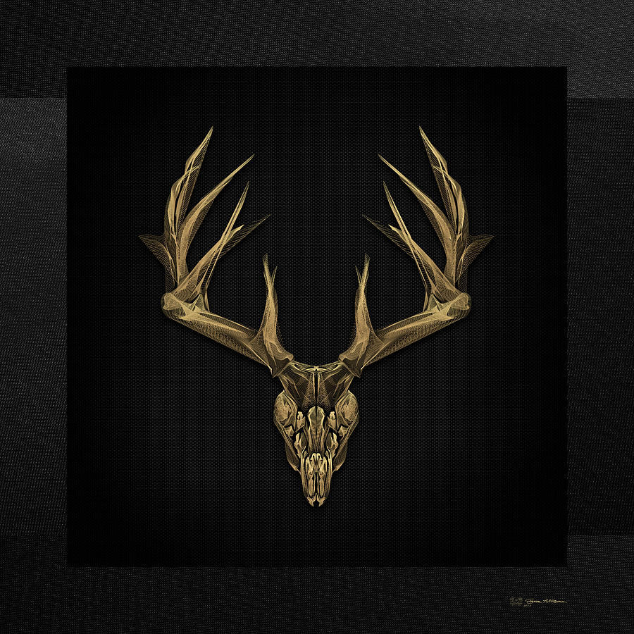 Antlered Skulls - Gold Deer Skull X-Ray over Black Canvas No.1 Digital Art by Serge Averbukh
