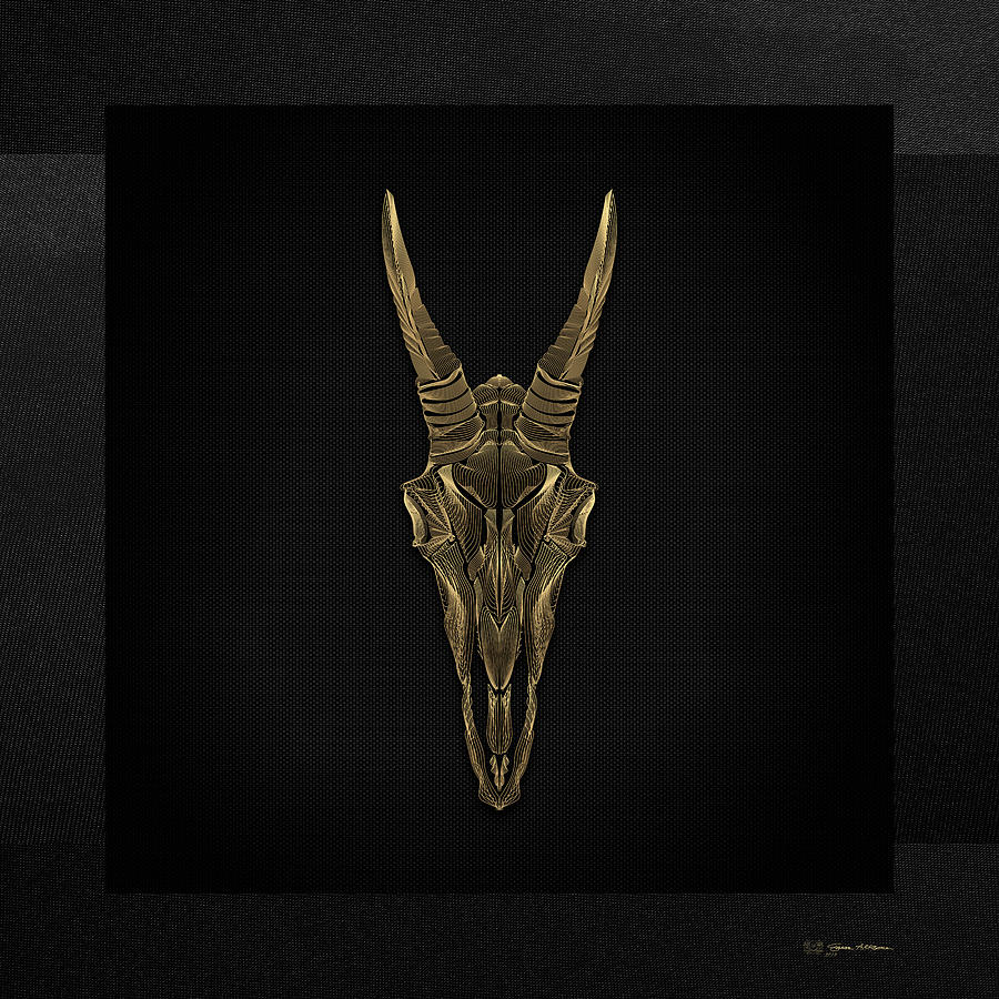 Horned Skulls - Gold Mountain Goat Skull X-Ray over Black Canvas No.1 Digital Art by Serge Averbukh