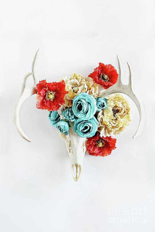Antlers and Florals Photograph by Stephanie Frey