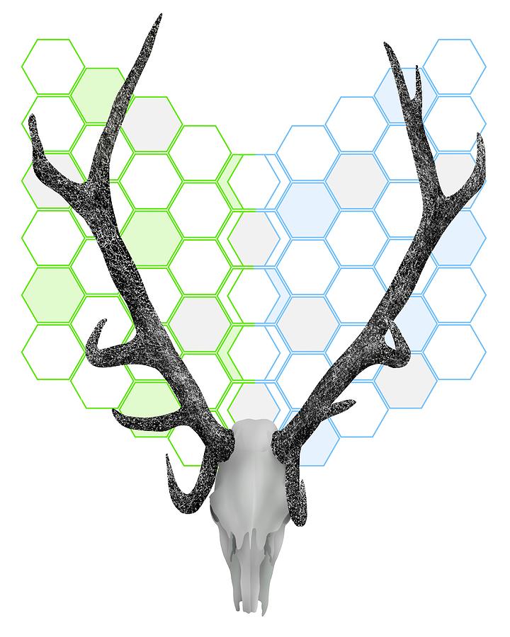 Deer Digital Art - Antlers Honeycomb Pattern by Early Kirky