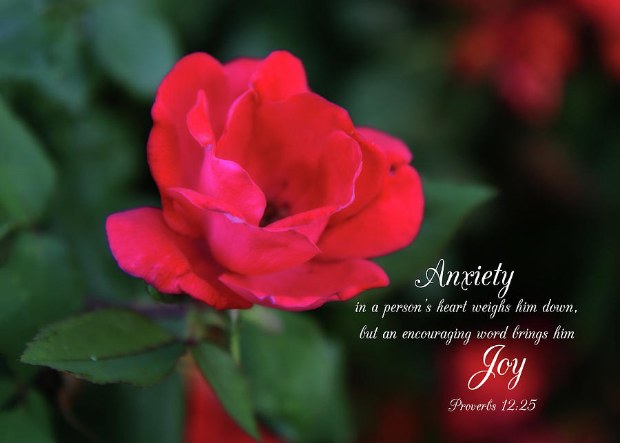 Anxiety to Joy Proverbs Photograph by Denise Beverly