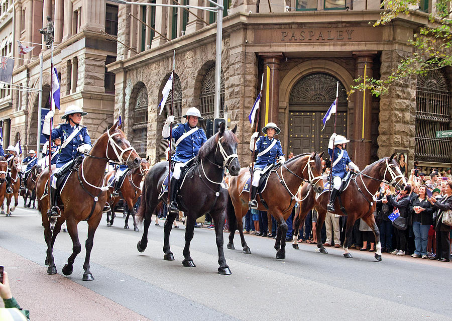 Horse Photograph - Anzac Day March Mounted Unit NSW by Miroslava Jurcik
