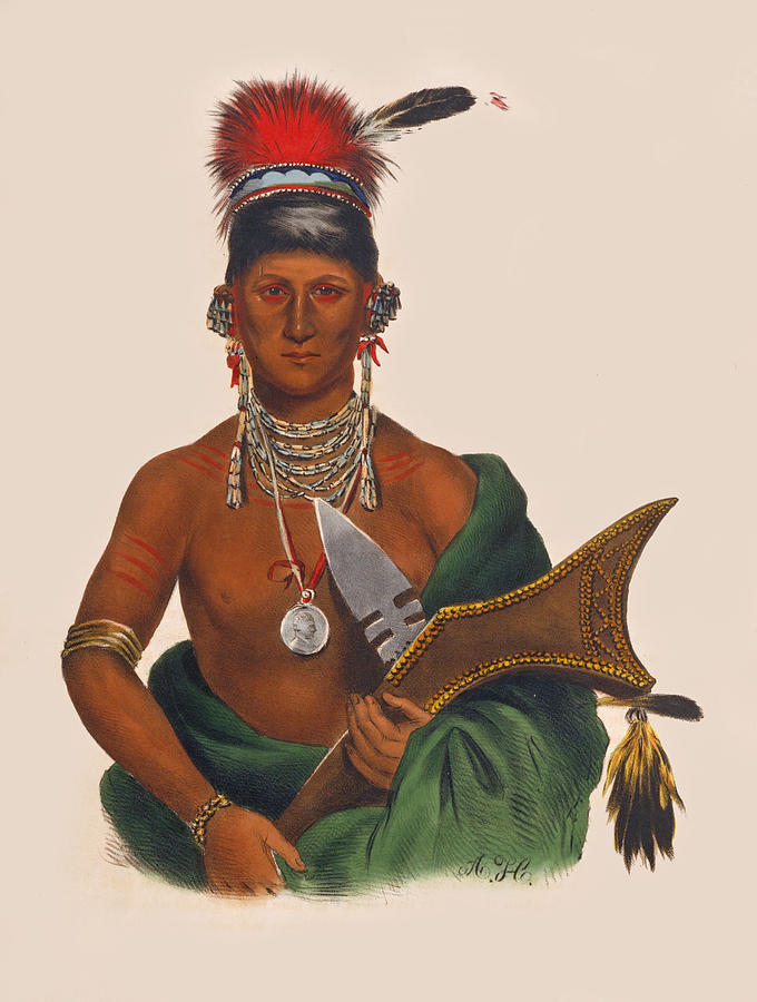 Ap-pa-noo-se Saukie chief Drawing by Unknown