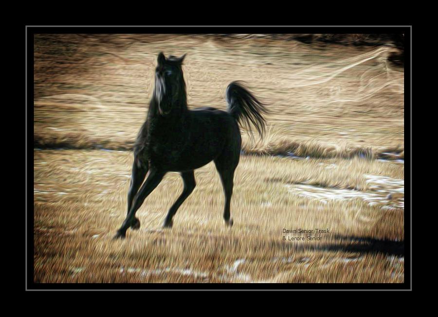 Horse Digital Art - Apache at the Ranch by Lenore Senior