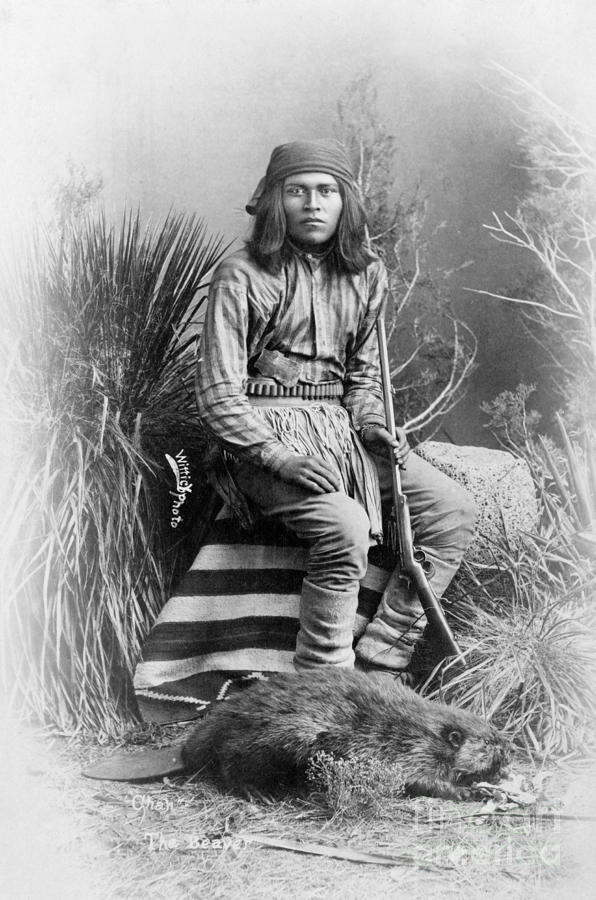 Apache Leader, 1885 Photograph by Granger