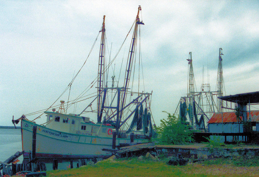 Apalachicola Trawlers Photograph by Jan Amiss Photography