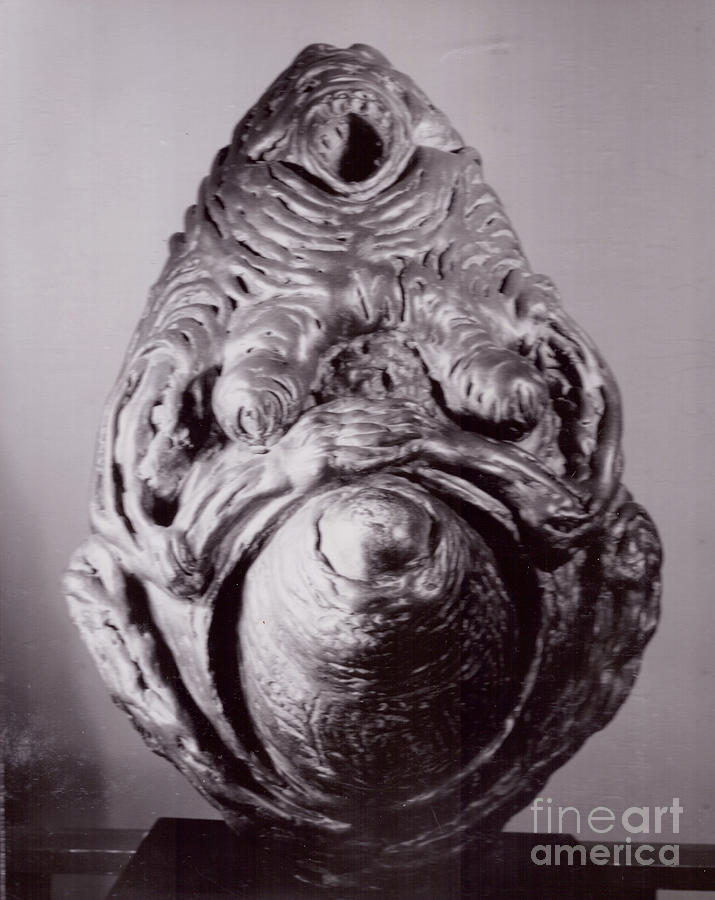 Ape Mother II #1 Sculpture by Robert F Battles