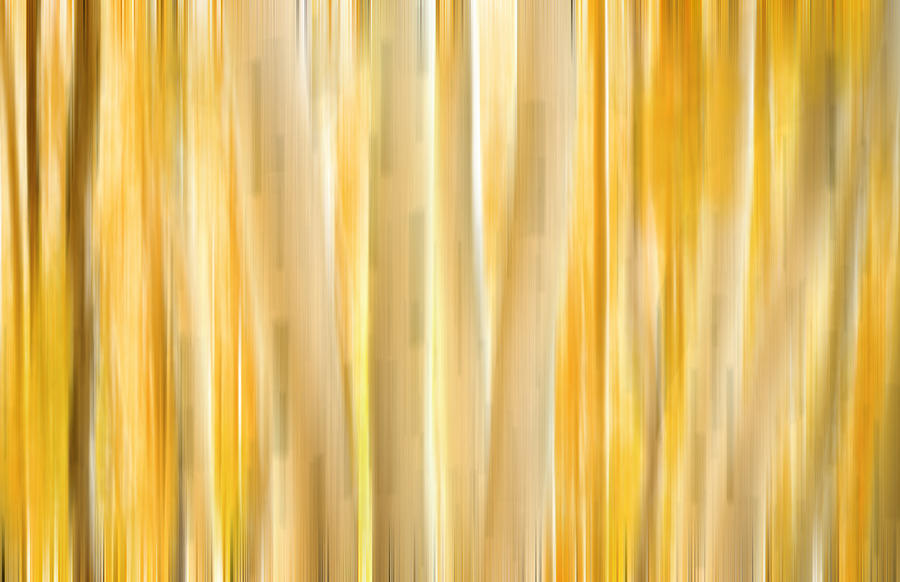Apens Fall Colors Digital Abstracts Motion Blur Photograph by Rich Franco