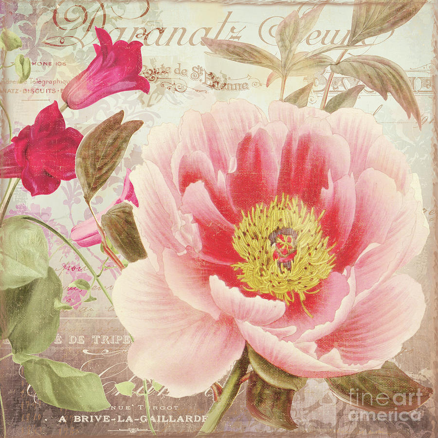 Peony Painting - Aphrodite Peony by Mindy Sommers
