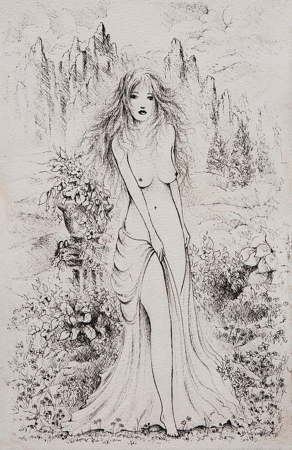 Aphrodite Drawing by William Russell Nowicki