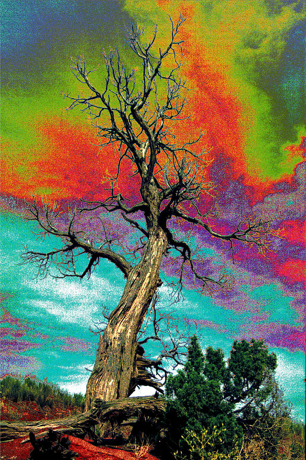 Apocalypse Tree Photograph by Richard Henne