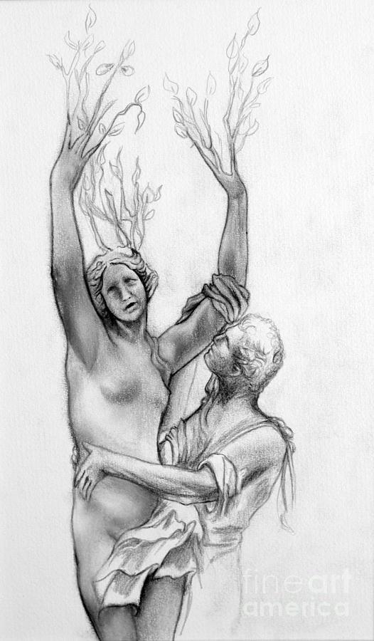 Greek Drawing - Apollo and Daphne  by Gabriela Junosova