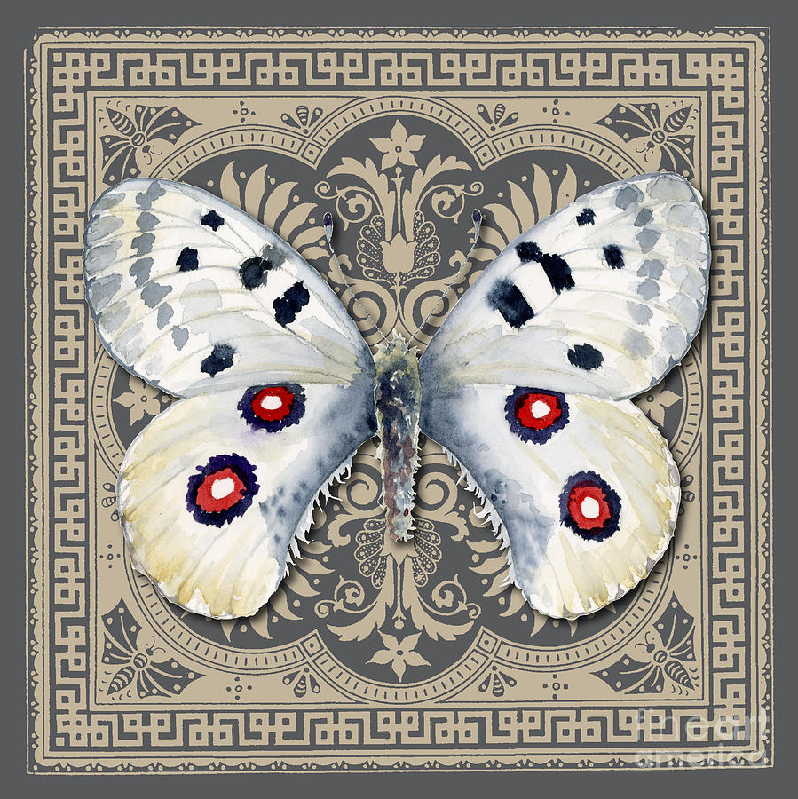 Apollo Butterfly Design Painting