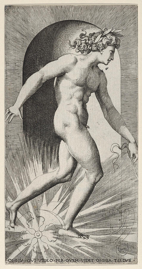 Apollo Drawing - Apollo by Giovanni Jacopo Caraglio