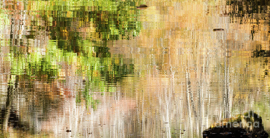 Impressionism Photograph - Appalachia Monet by Nando Lardi