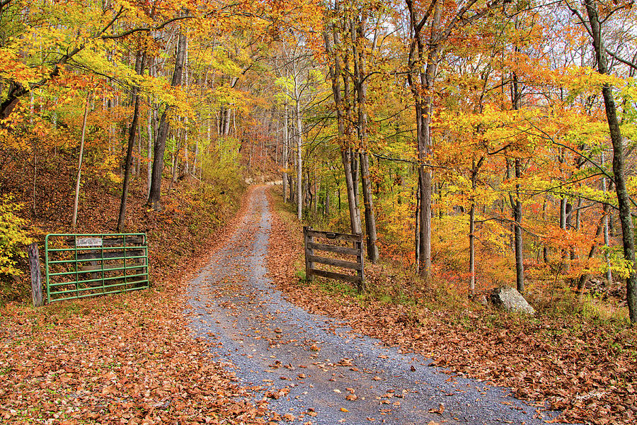  Appalachian Autumn Photograph by Jurgen Lorenzen