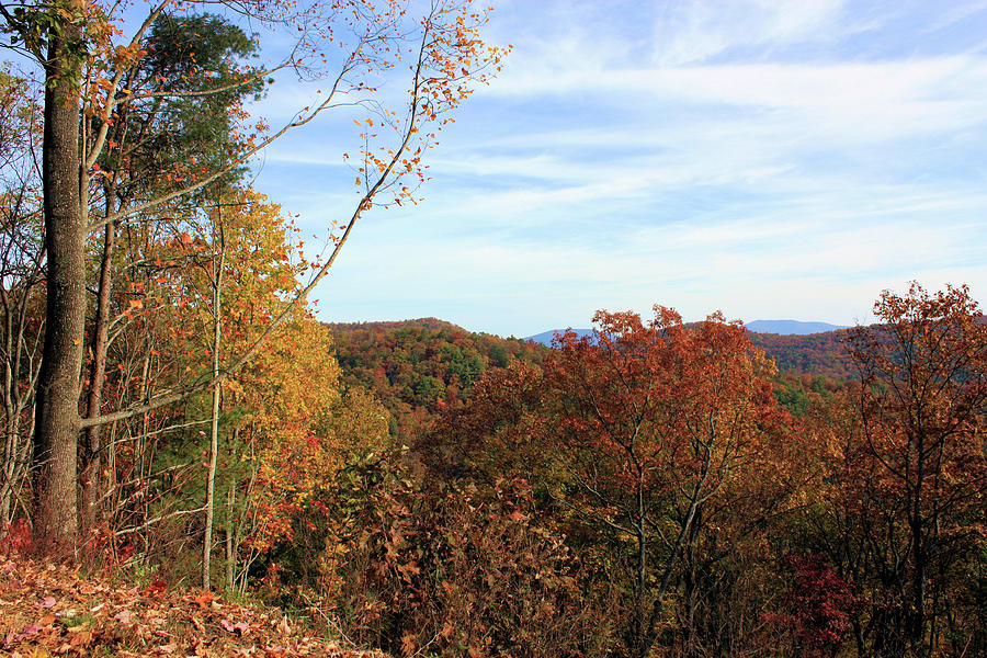 Appalachian Fall Photograph by Kristin Elmquist