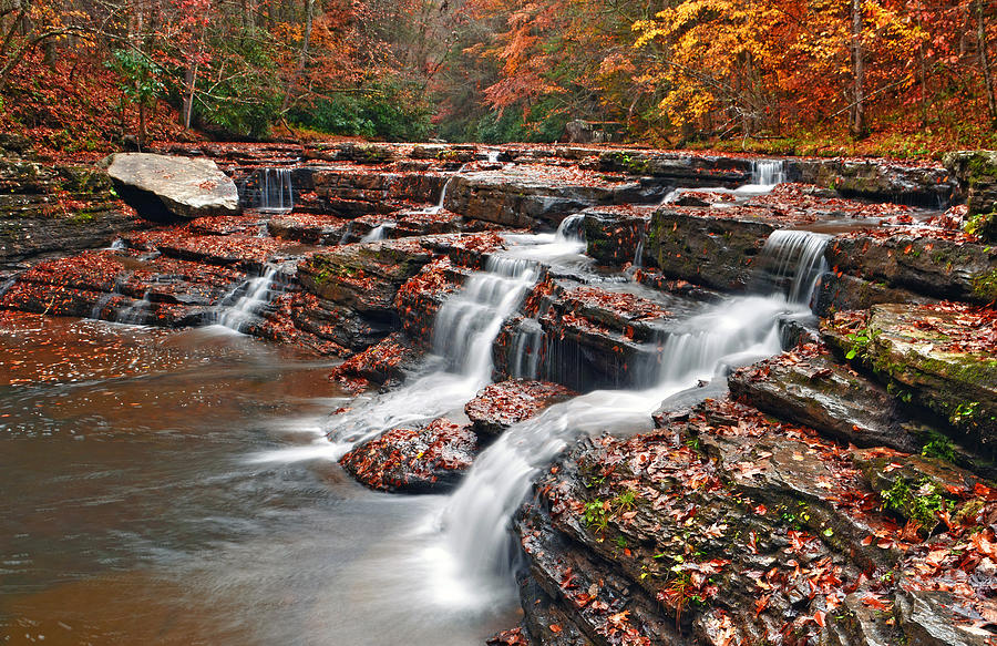 Appalachian Falls Photograph by Lisa Lambert-Shank