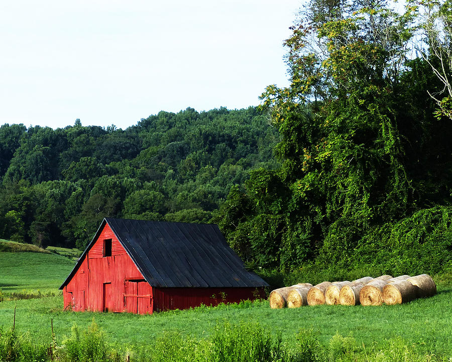 Appalachian Farmstead Photograph by Carl Sheffer