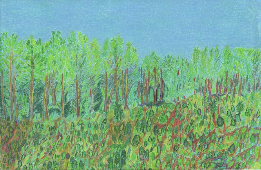 Detroit Drawing - Appalachian Forest  by Merrill Mitchell