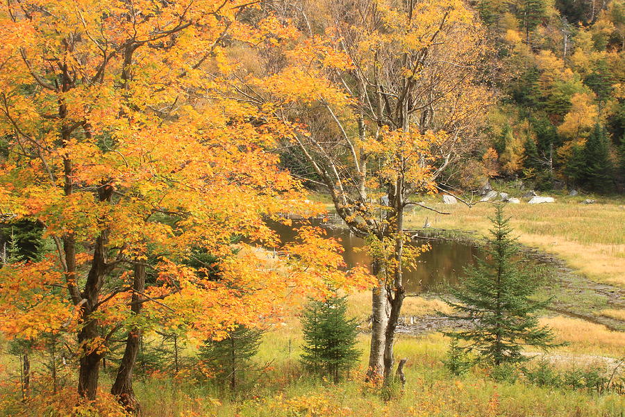 Appalachian Gap Pond In Autumn Photograph