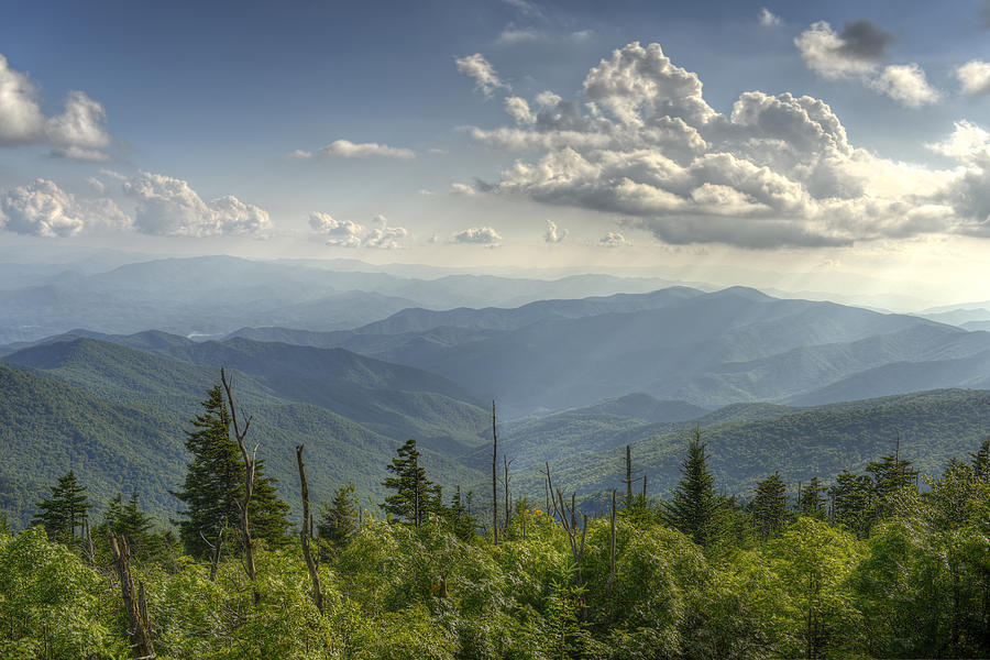 Appalachian Mountains in Great Smoky Mountains National Park Photograph by Darrell Young
