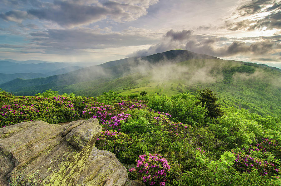 Appalachian Mountains Nc Tn Beautiful Jane's Bald Photograph by Robert ...