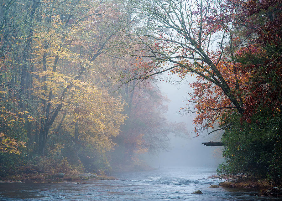 Appalachian Mountains SC Chattooga Autumn Fog Photograph by Robert Stephens