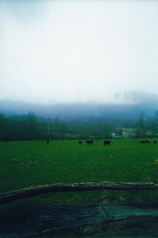 Mountain Photograph - Appalachian Pasture by Cat Rondeau
