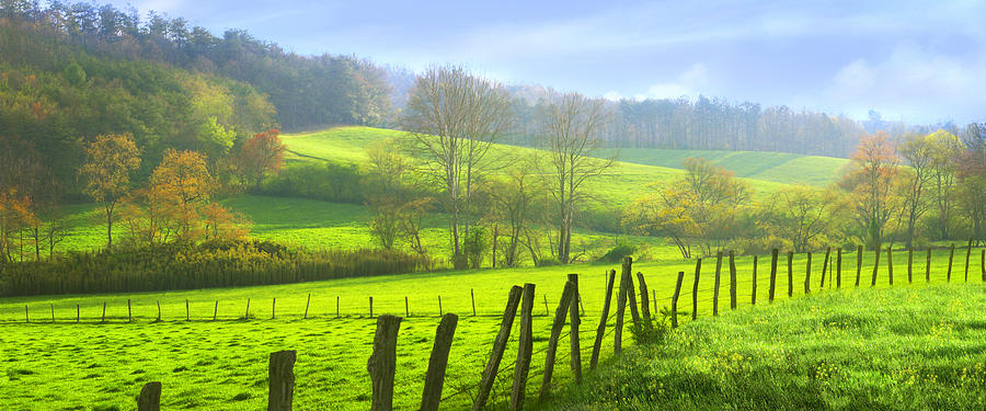 spring morning