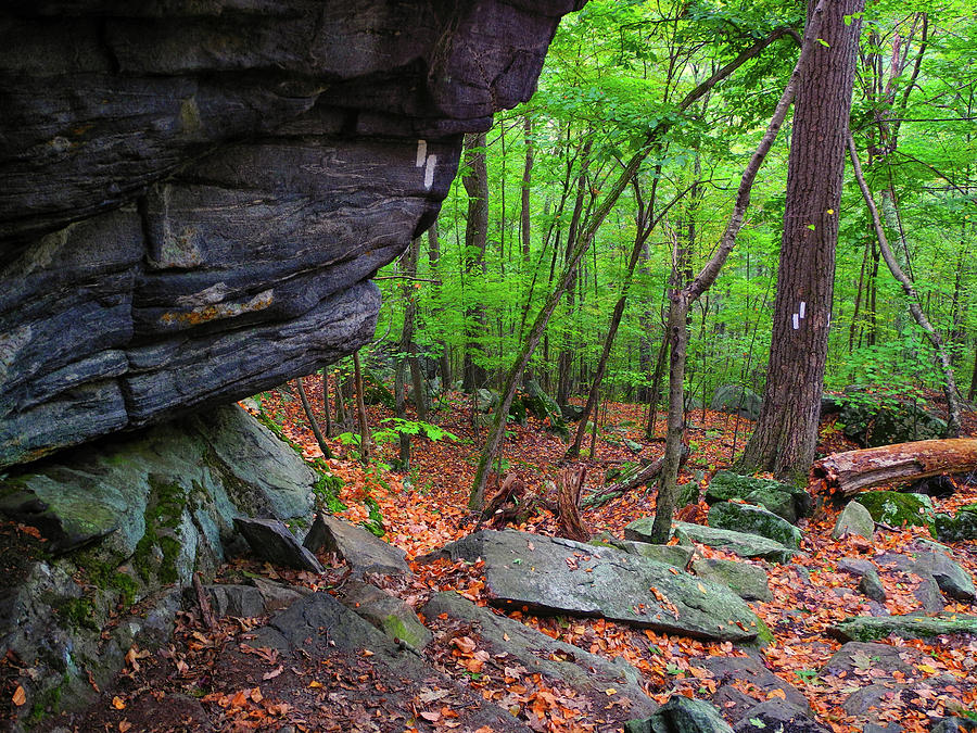Appalachian Trail Connecticut Rocks Photograph by Raymond Salani III