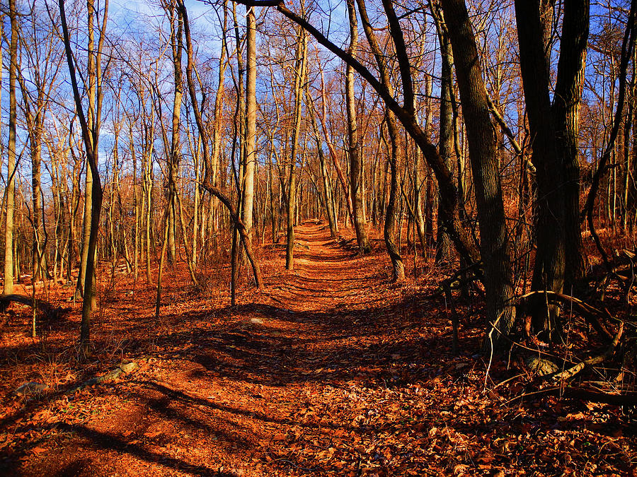 Appalachian Trail in Maryland Near Wolfsville Photograph by Raymond Salani III