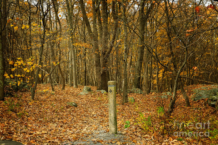 Appalachian Trail in Shenandoah National Park in October Photograph by Louise Heusinkveld