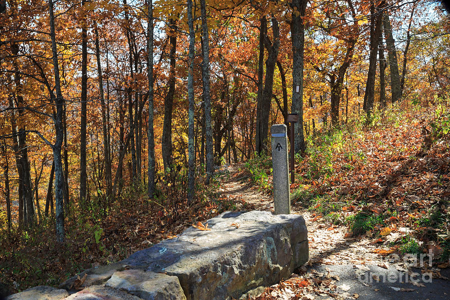 Appalachian Trail in Shenandoah National Park Photograph by Louise Heusinkveld