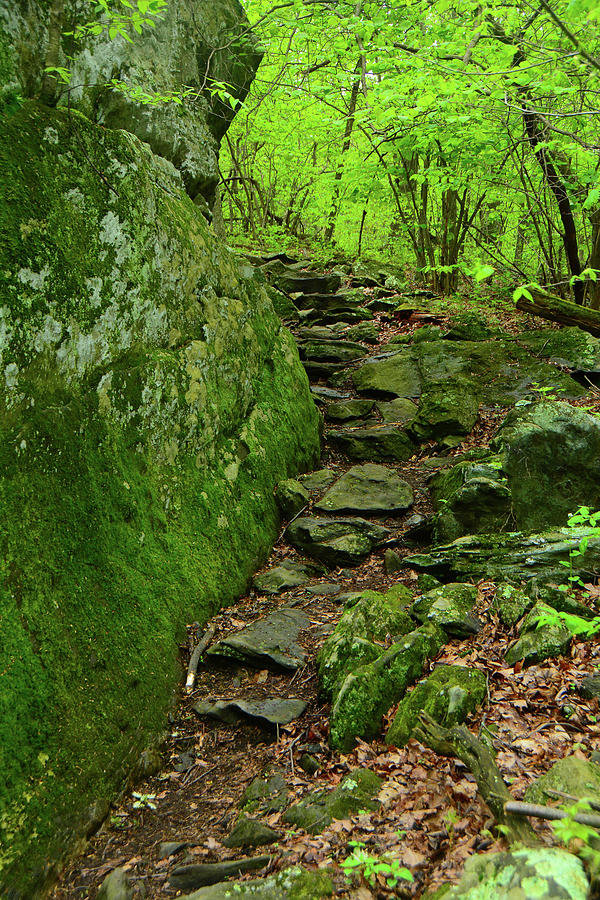 Appalachian Trail Maryland Rock Garden 2 Photograph by Raymond Salani III