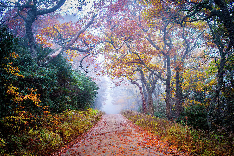 Appalachian Trail NC Wayah Autumn Road Photograph by Robert Stephens