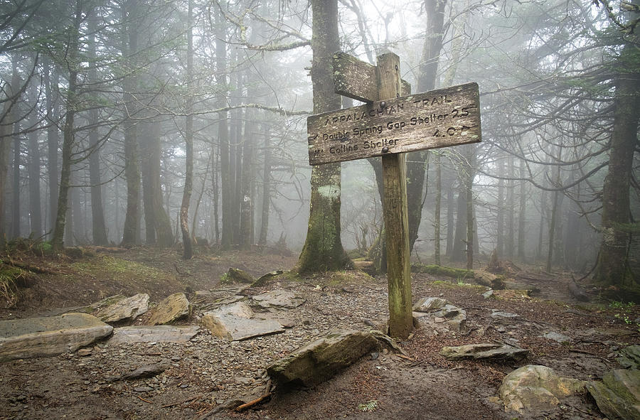 Appalachian Trail Sign Photograph by Mary Lee Dereske