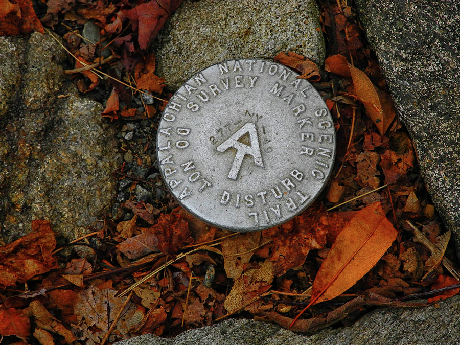 Appalachian Trail Survey Marker Number 49 Photograph by Raymond Salani III